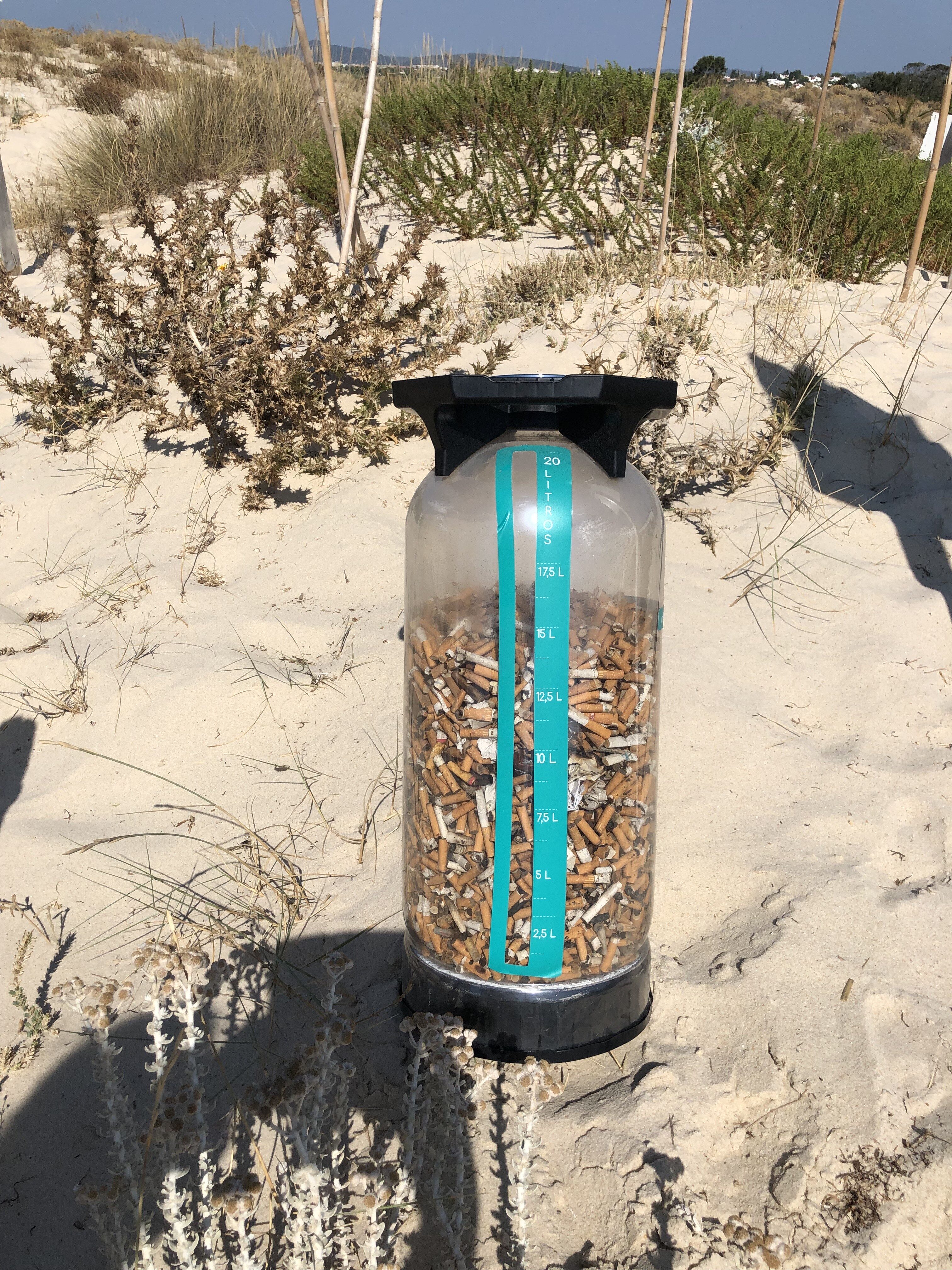 Banhistas caçaram menos beatas nas praias de Tavira