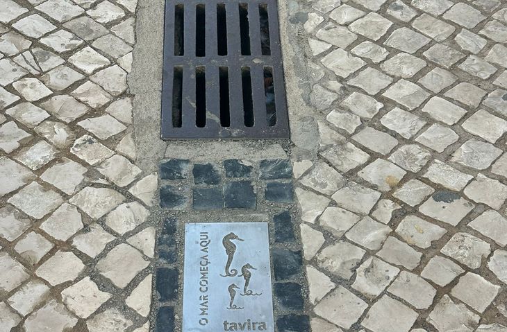 “O Mar Começa Aqui”: não permita que o lixo termine na sarjeta!