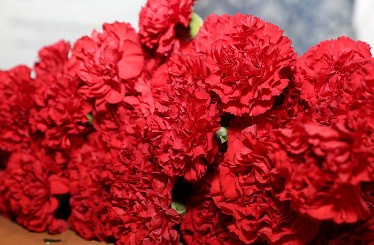 52 anos de Abril entre histórias e música