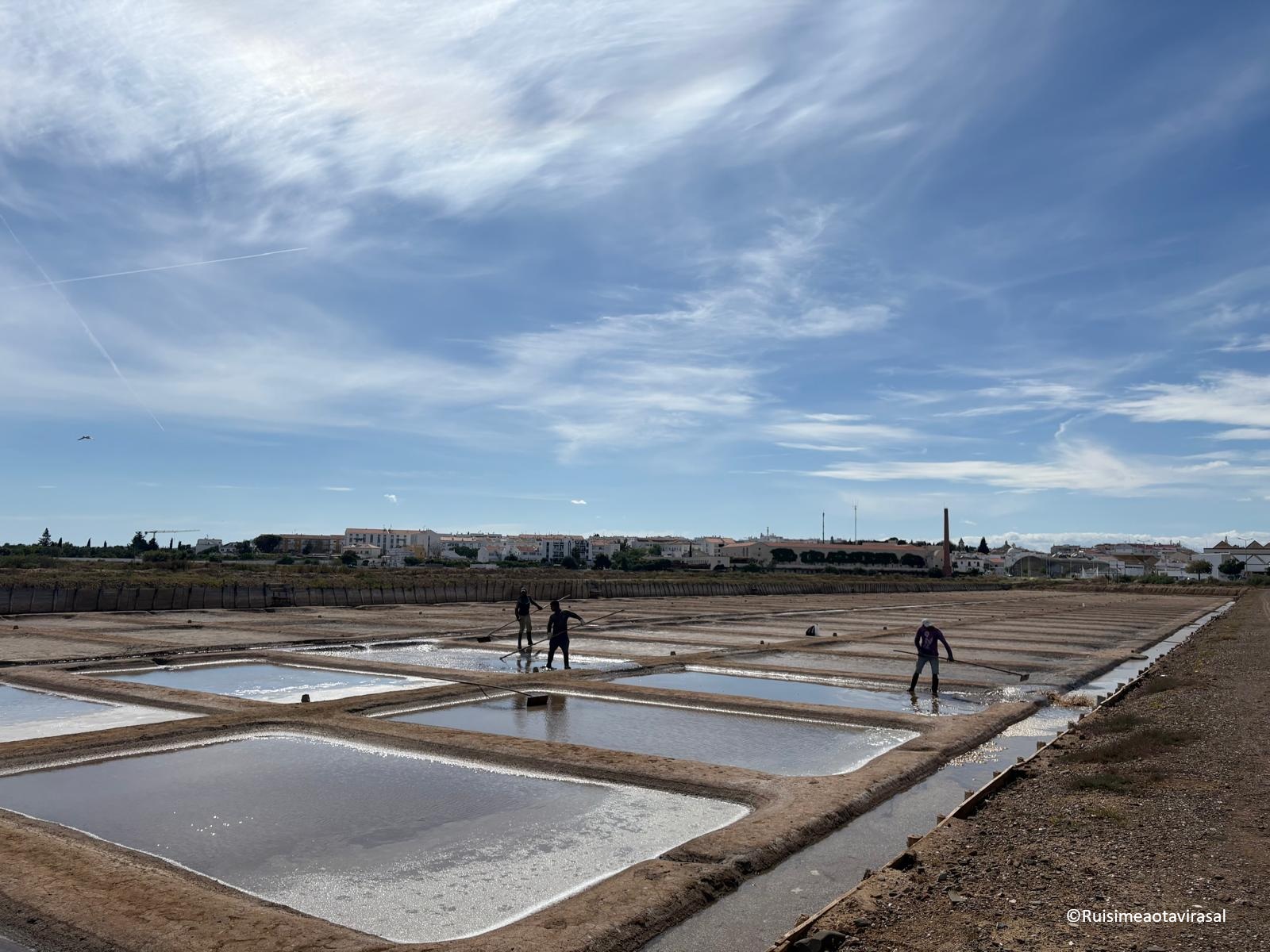 Museu Municipal de Tavira convida à descoberta das Salinas de Tavira