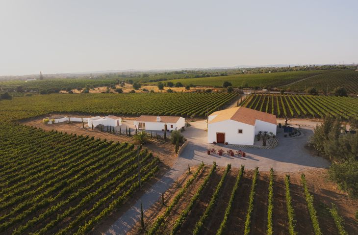 "Cabaz da Terra" promove vinhos do concelho