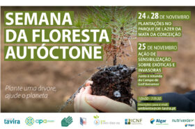 Semana da Floresta Autóctone: Plante uma árvore, ajude o planeta!