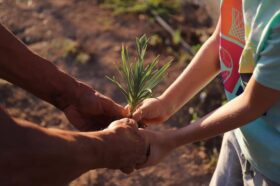 Tavira: Hortas comunit&aacute;rias e Jardins Alimentares fomentam resili&ecirc;nc...
