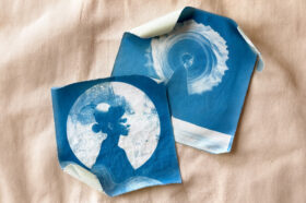 “Cianotipia da Flora do Mediterrâneo” no Museu Municipal