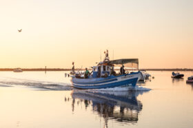 Dia Nacional do Pescador: Tavira homenageia gentes do mar