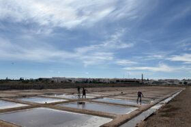 Museu Municipal de Tavira convida à descoberta das Salinas de Tavira