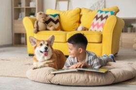 &ldquo;Poesia em Boa C&atilde;opanhia&rdquo; leva a leitura e a poesia para junto do...