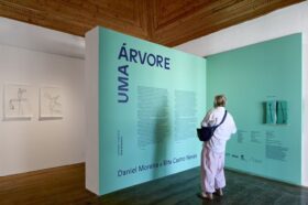 Exposição “UMA ÁRVORE” com nova visita guiada